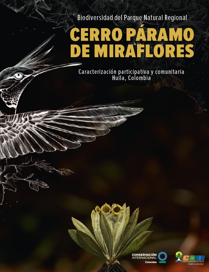 Captura de pantalla 2025-06-25 a la(s) 11.59.42 a.m..png